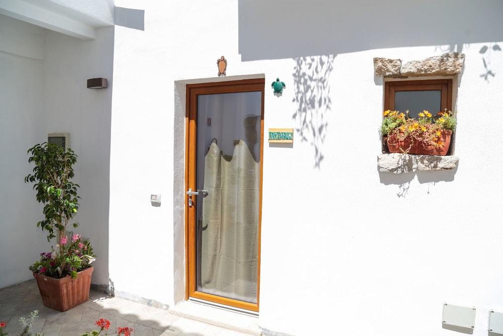 Affittacamere Domus Olbia