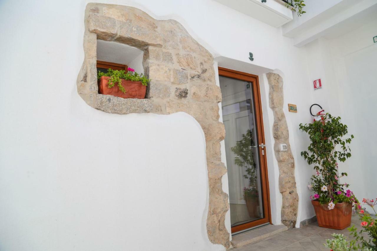 Domus Affittacamere Olbia